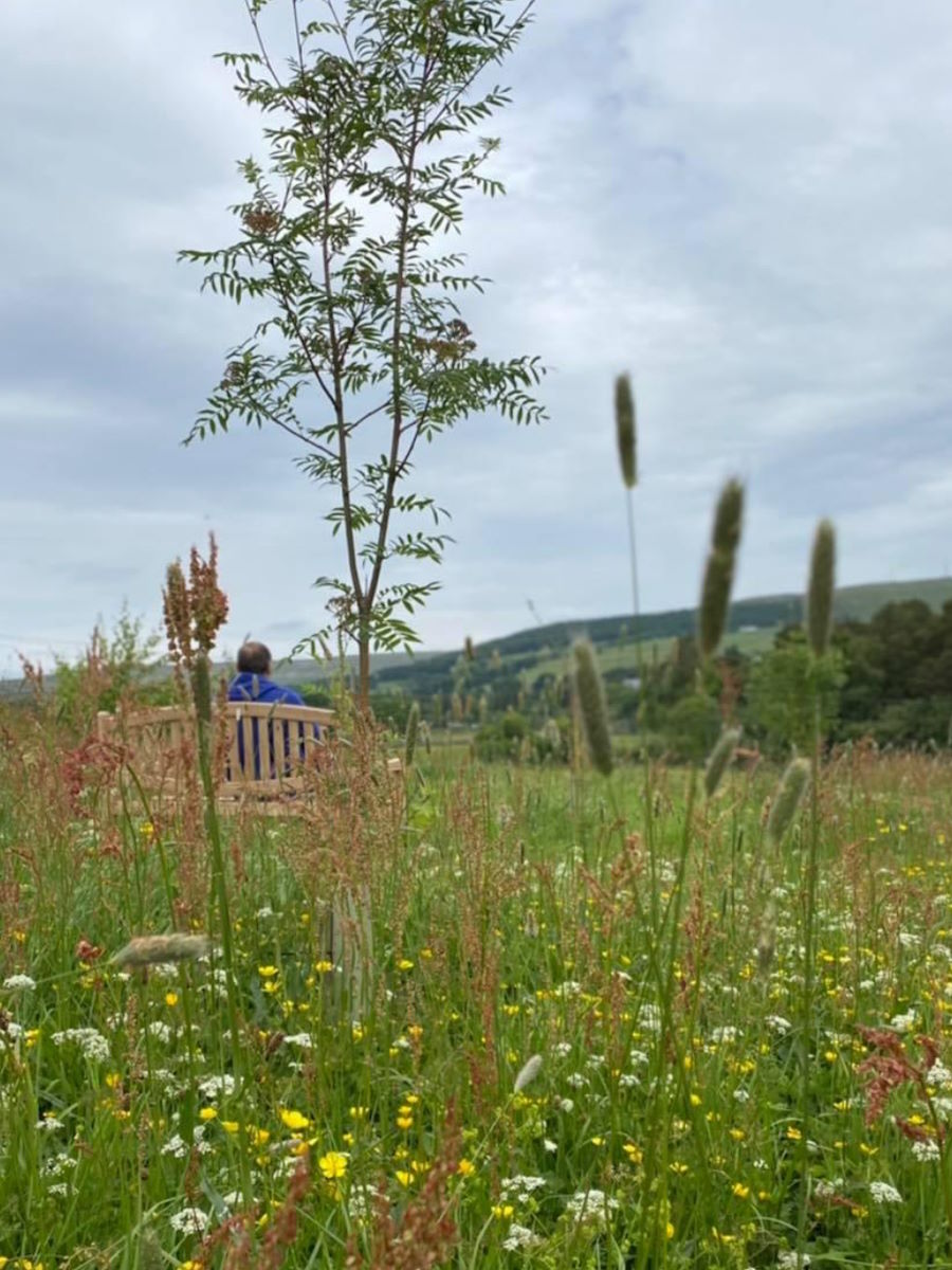 Natural Burial Plots in Cumbria and the UK from Memotrees