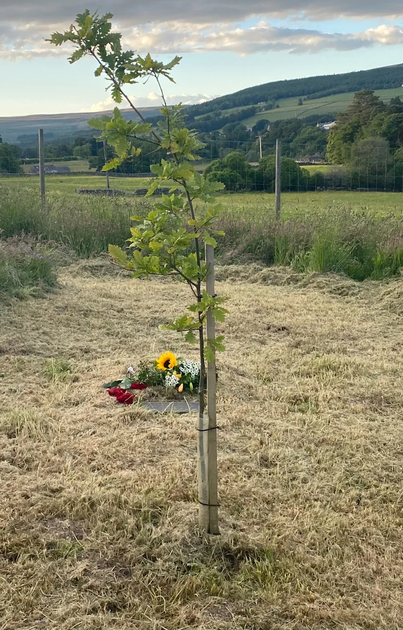 Natural Eco-Friendly Memorial Burials in Alston, Cumbria and the UK
